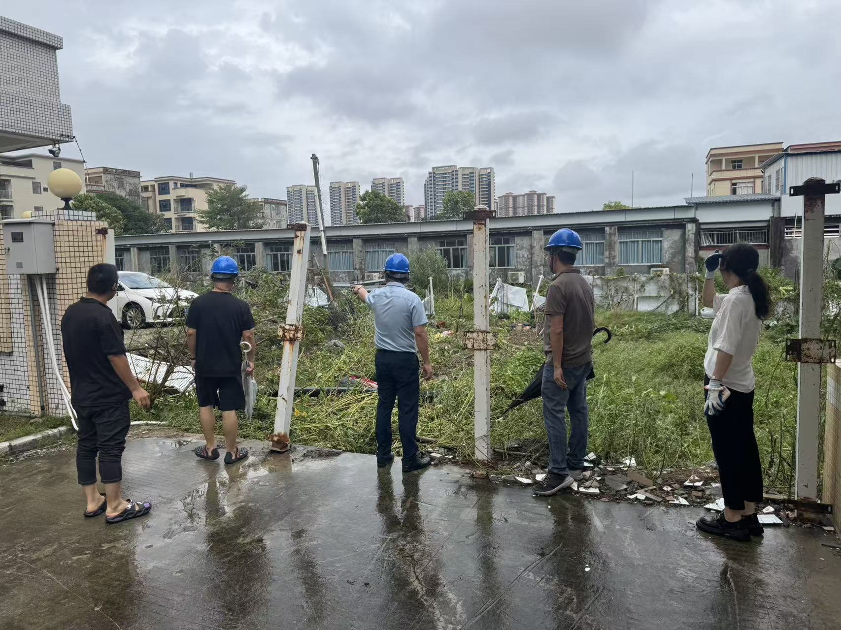 全力推進公租房臺風災后復產.docx_1