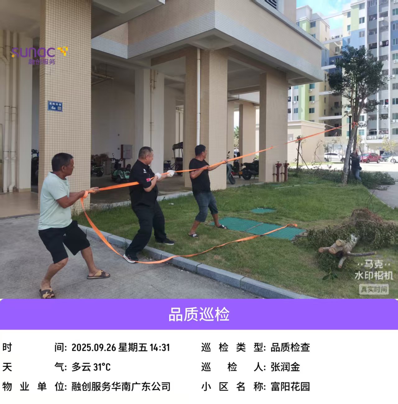 全力推進公租房臺風災后復產.docx_3