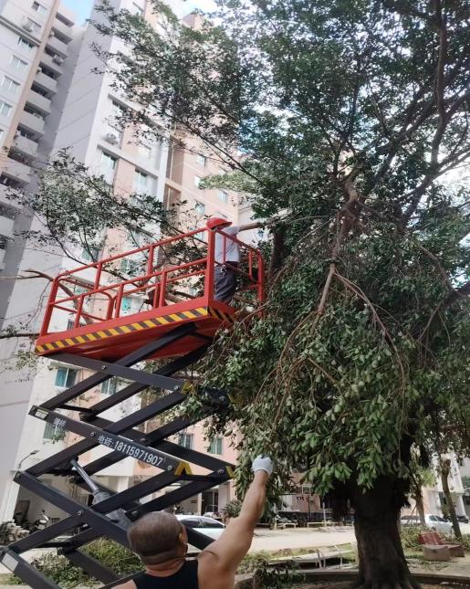 全力推進公租房臺風災后復產.docx_5